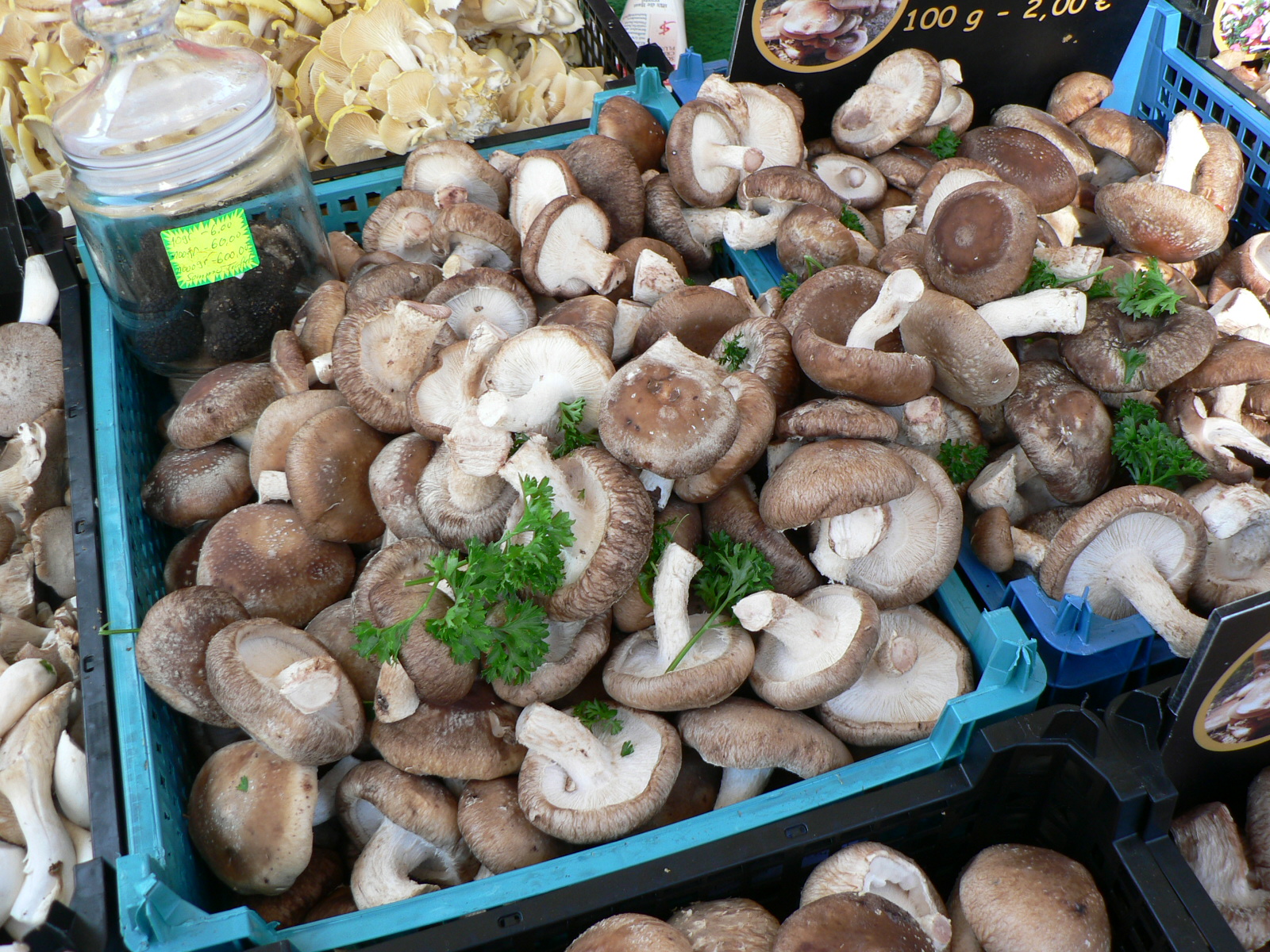 2011_04_16_Ausflug_Chorvereinigung_Freiburg_042