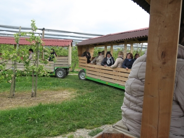 Ausflug Bodensee 051-homep-