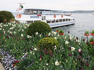 Ausflug Bodensee 125-homep-