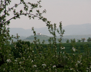 13_Blick zur Wurmlinger Kapelle