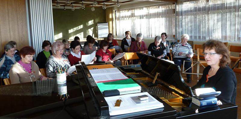 2011_02_04_Wittendorf (8)