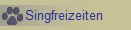 Singfreizeiten 