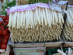 2011_04_16_Ausflug_Chorvereinigung_Freiburg_041