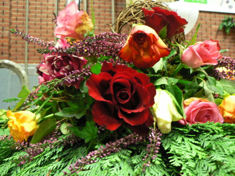 29_2011_11_13-Jubil�umskonzert_057